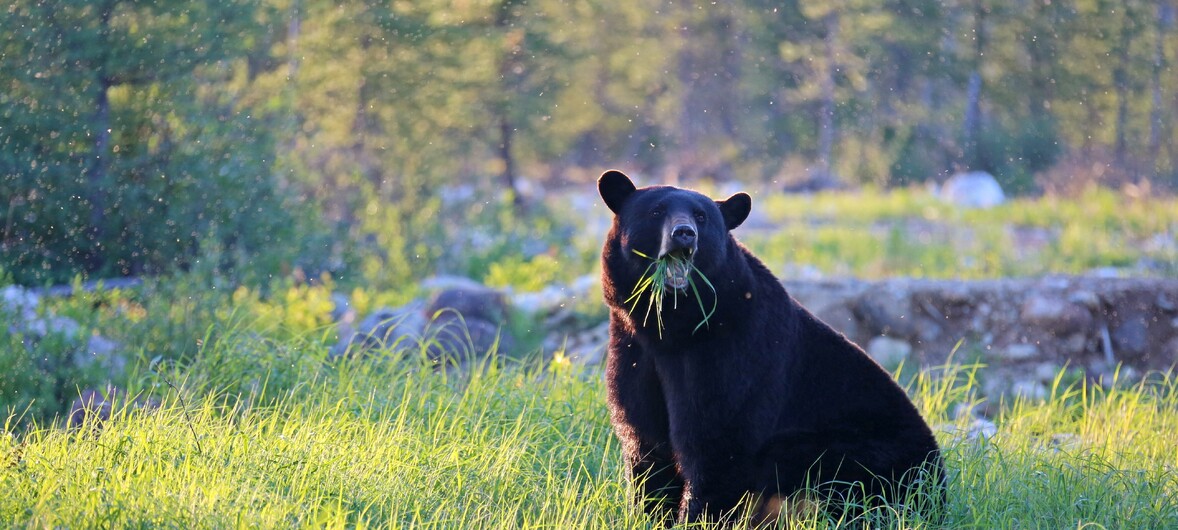 Entête - Informations utiles