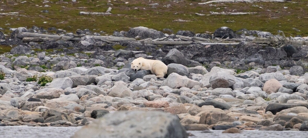 Entête - Nos incontournables