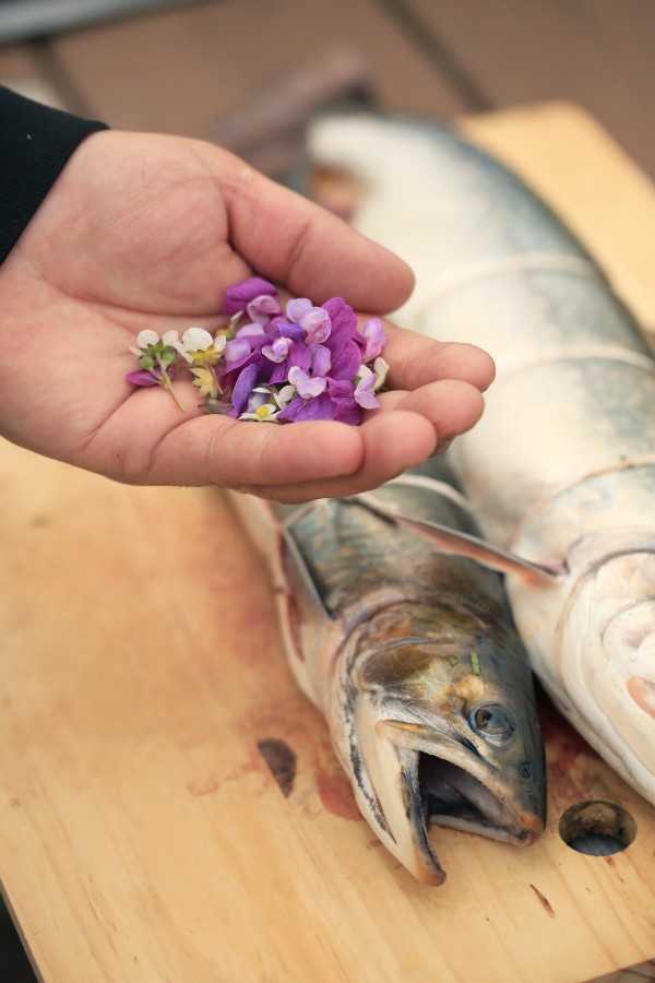 Edible Flowers picked in Chisasibi